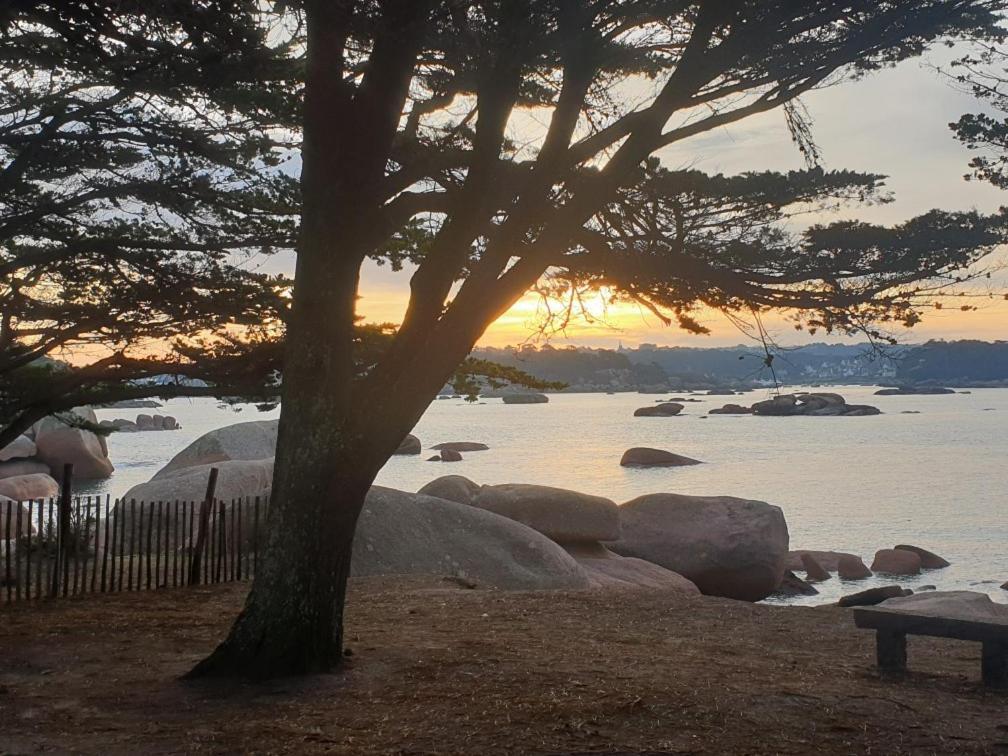 Maison Neuve Au Calme Pleumeur-Bodou Dış mekan fotoğraf